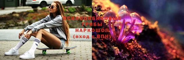 альфа пвп Армянск