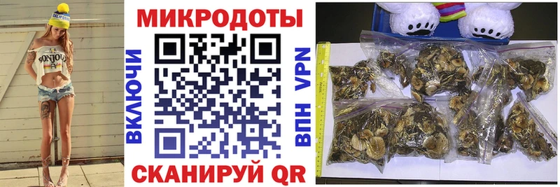 Псилоцибиновые грибы GOLDEN TEACHER  Миньяр 